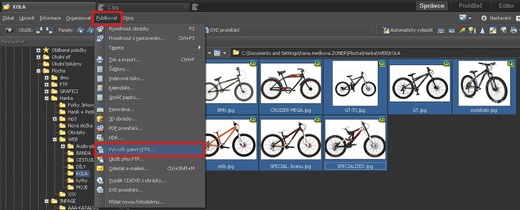 Zvolený výběr obrázků publikujeme jako galerii HTML